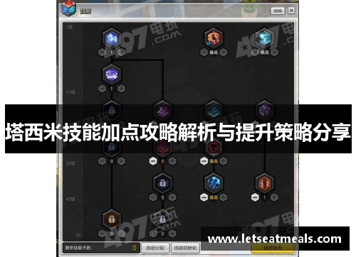塔西米技能加点攻略解析与提升策略分享
